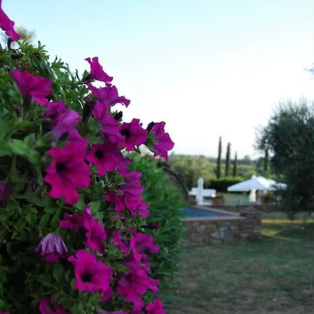Alloggio per agriturismo Sara Suvereto
